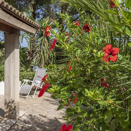 Vacanze E Relax Frassino