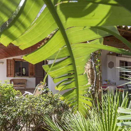Vacanze E Relax Frassino Custonaci
