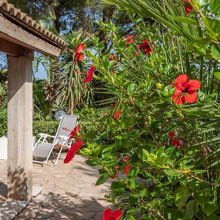 Vacanze E Relax Frassino Apartamento *